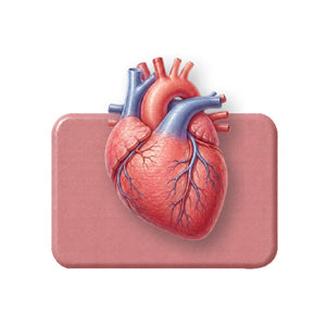 Cardio Health