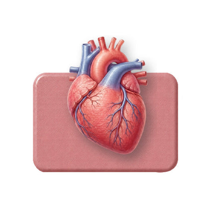Cardio Health