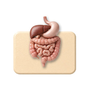 Digestive Health