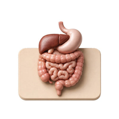 Digestive Health - Pharmigrow