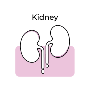 Kidney Health - Pharmigrow