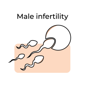 Male Infertility - Pharmigrow