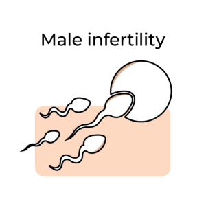 Male Infertility