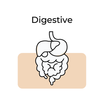 Digestive Health