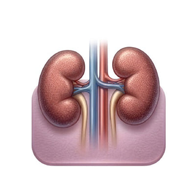 Kidney Health - Pharmigrow