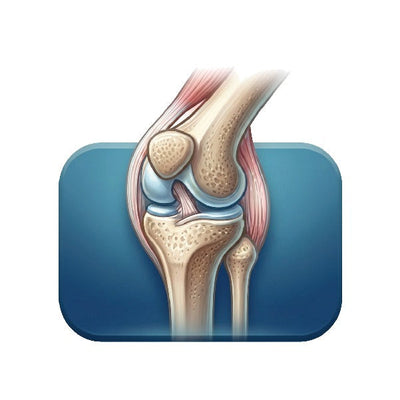 Orthocare - Pharmigrow