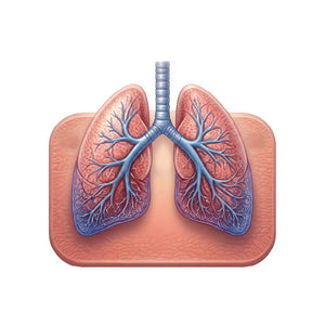 Respiratory Health