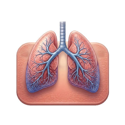 Respiratory Health - Pharmigrow